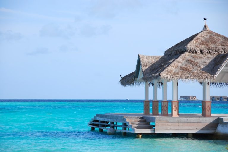 The Art of Vacation Rental Management: Turning Properties into Profit